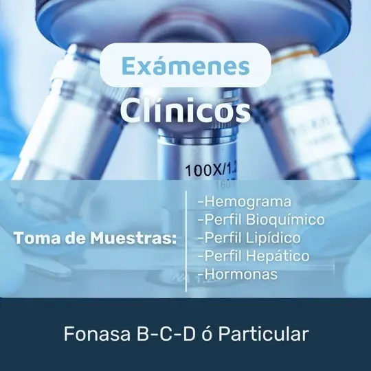 Exámenes Clínicos: Hemograma, Perfil Bioquímico, Perfil Lipídico, Perfil Hepático, Hormonas.