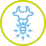 Derivación kinesiología coxalgia