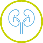 Hora para nefrología online