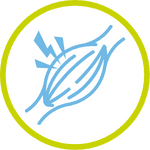 Derivación a Kinesiología Contractura Muscular